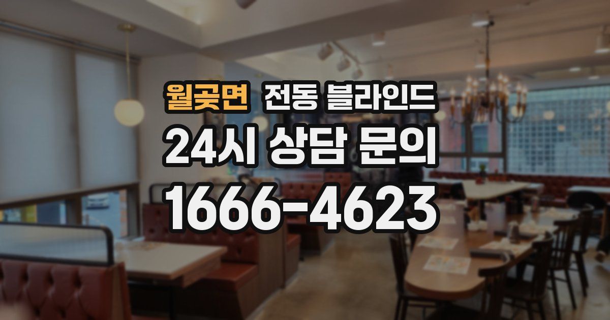 월곶면 전동 블라인드