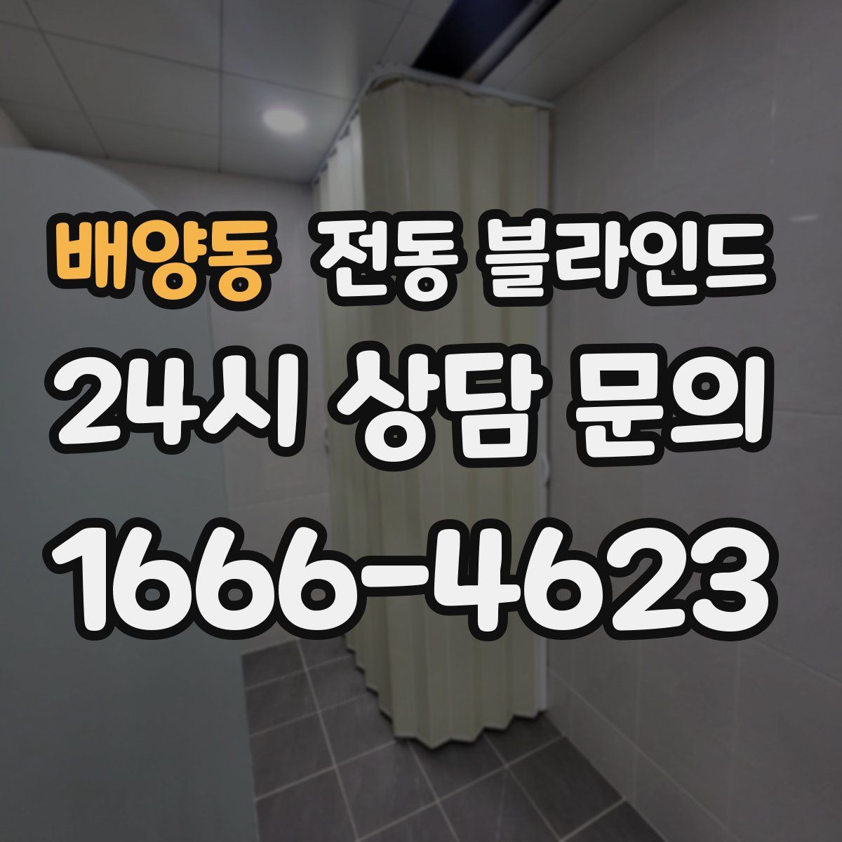 배양동 전동 블라인드