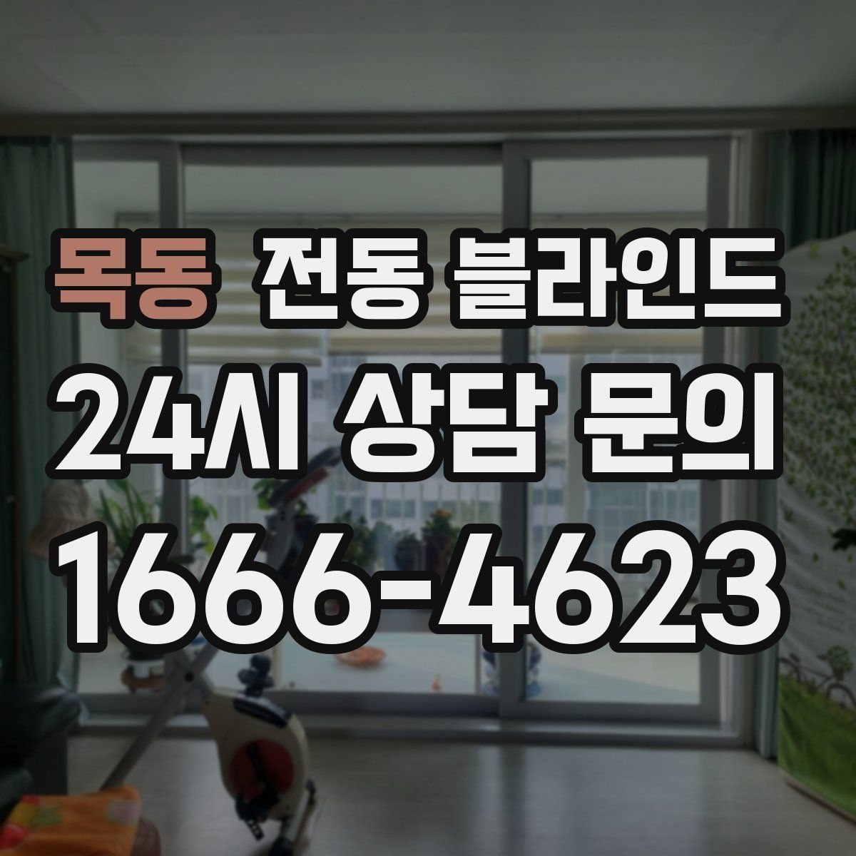 목동 전동 블라인드
