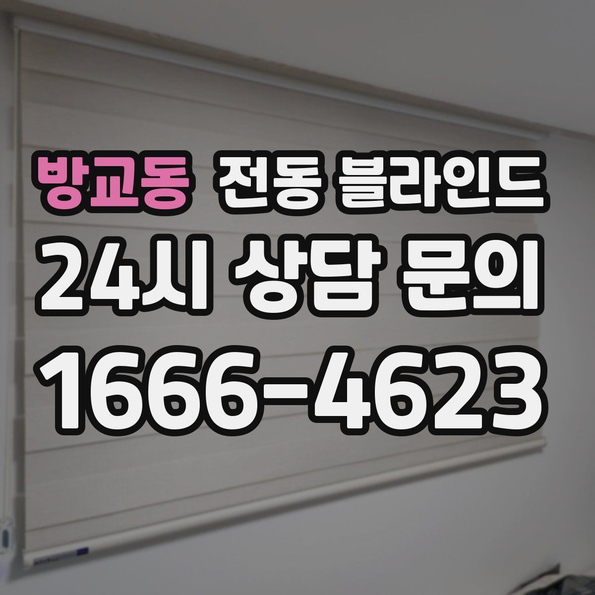 방교동 전동 블라인드