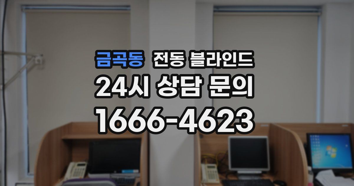 금곡동 전동 블라인드