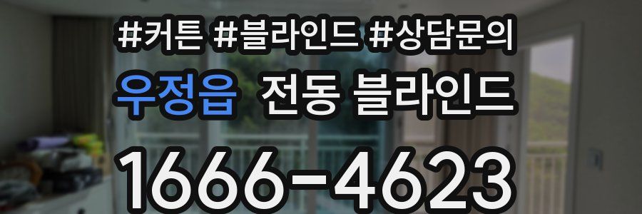 우정읍 전동 블라인드