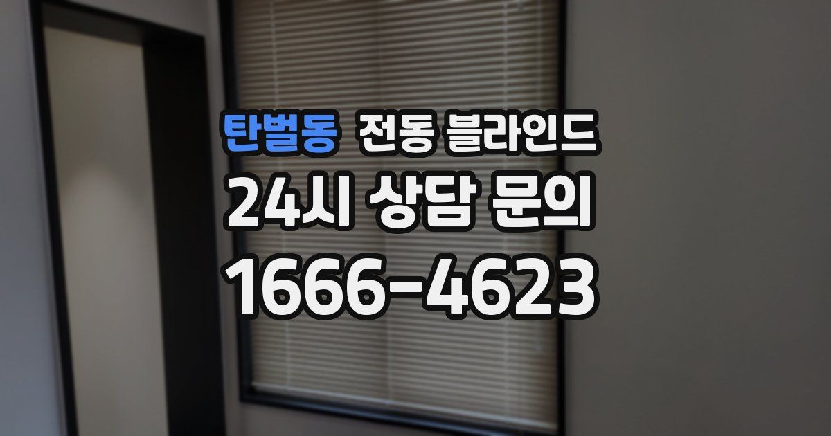 탄벌동 전동 블라인드