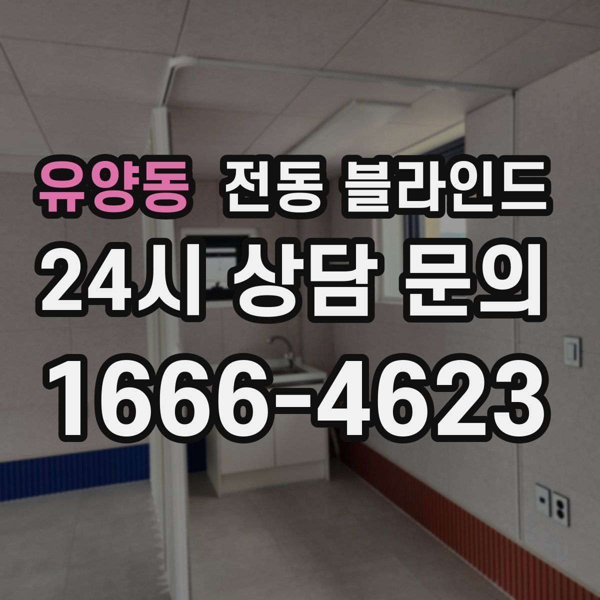 유양동 전동 블라인드