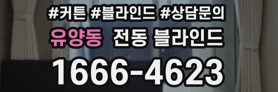 유양동 전동 블라인드