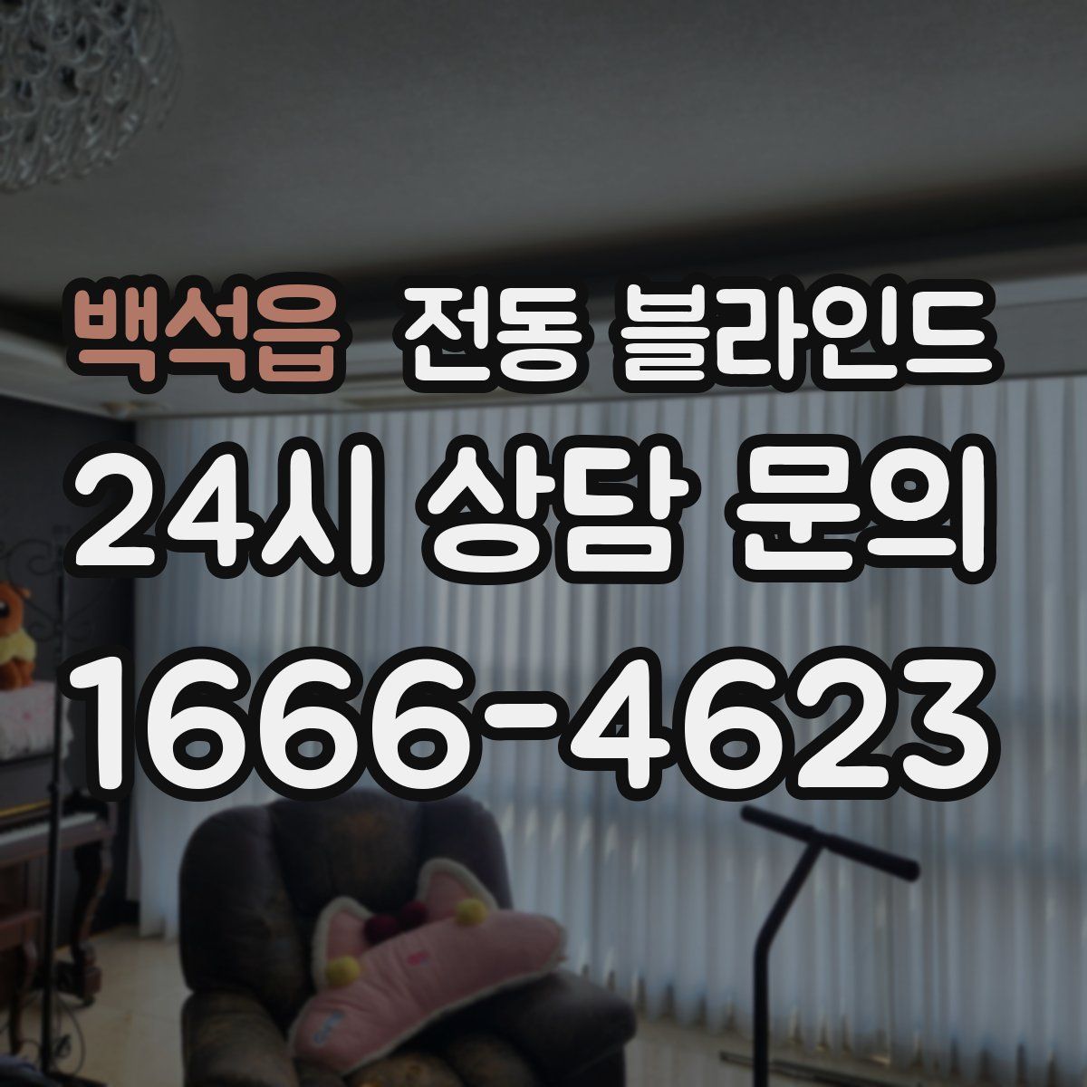 백석읍 전동 블라인드