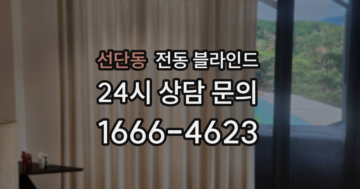 선단동 전동 블라인드