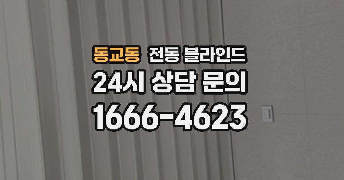 동교동 전동 블라인드