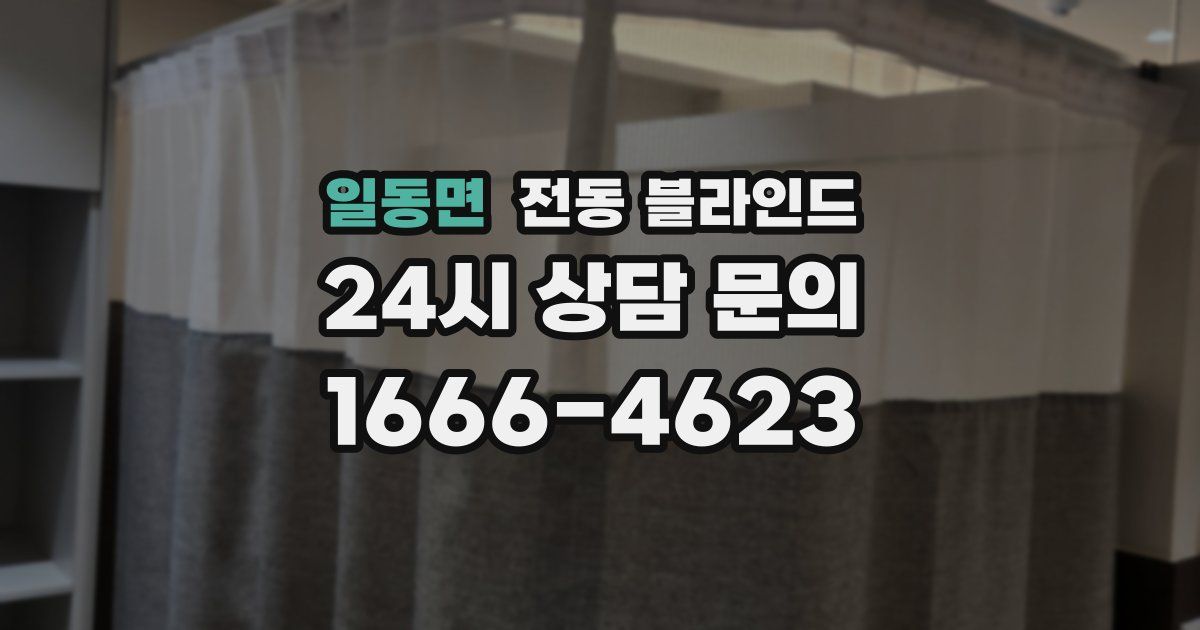 일동면 전동 블라인드