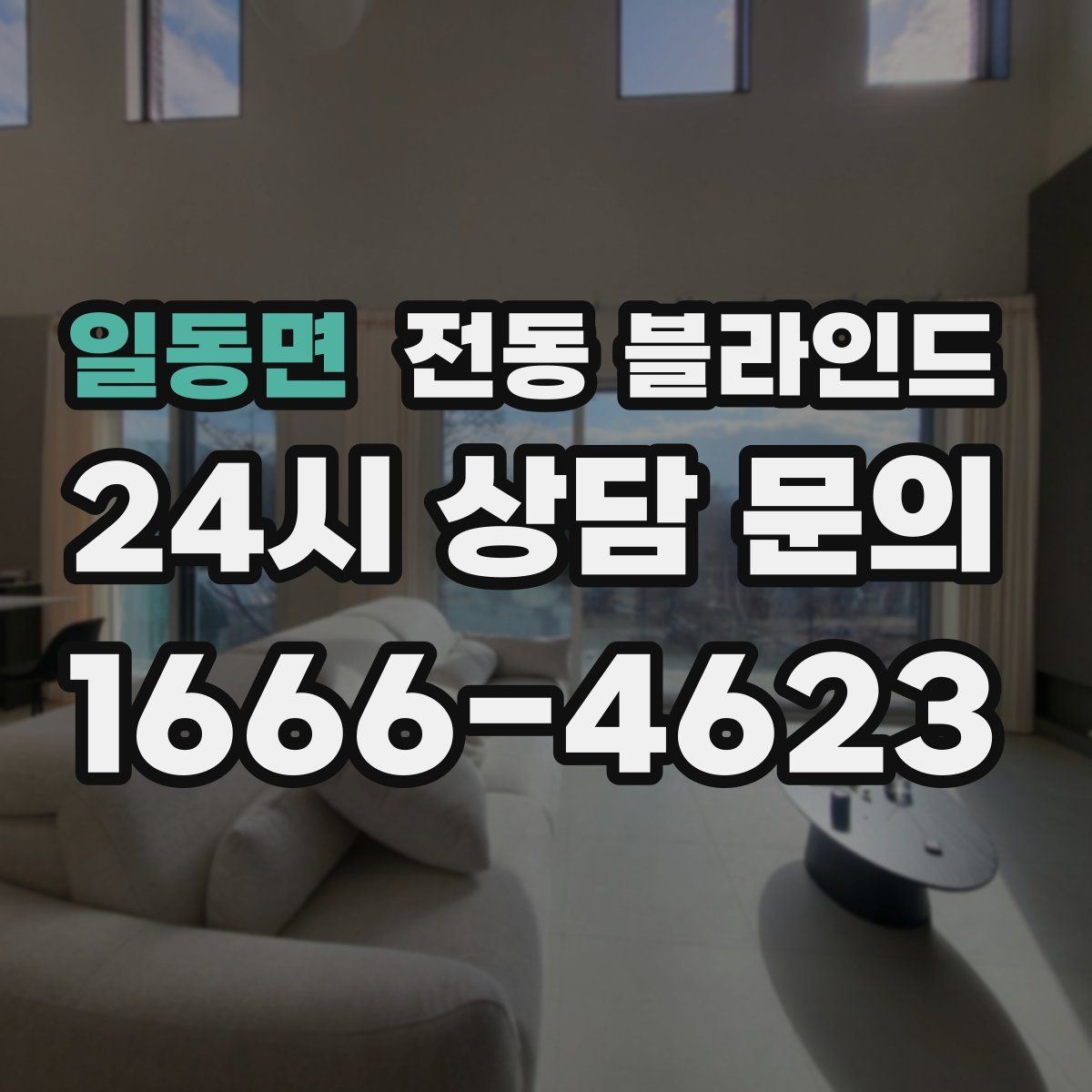 일동면 전동 블라인드