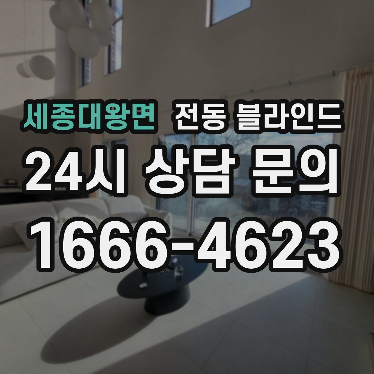 세종대왕면 전동 블라인드