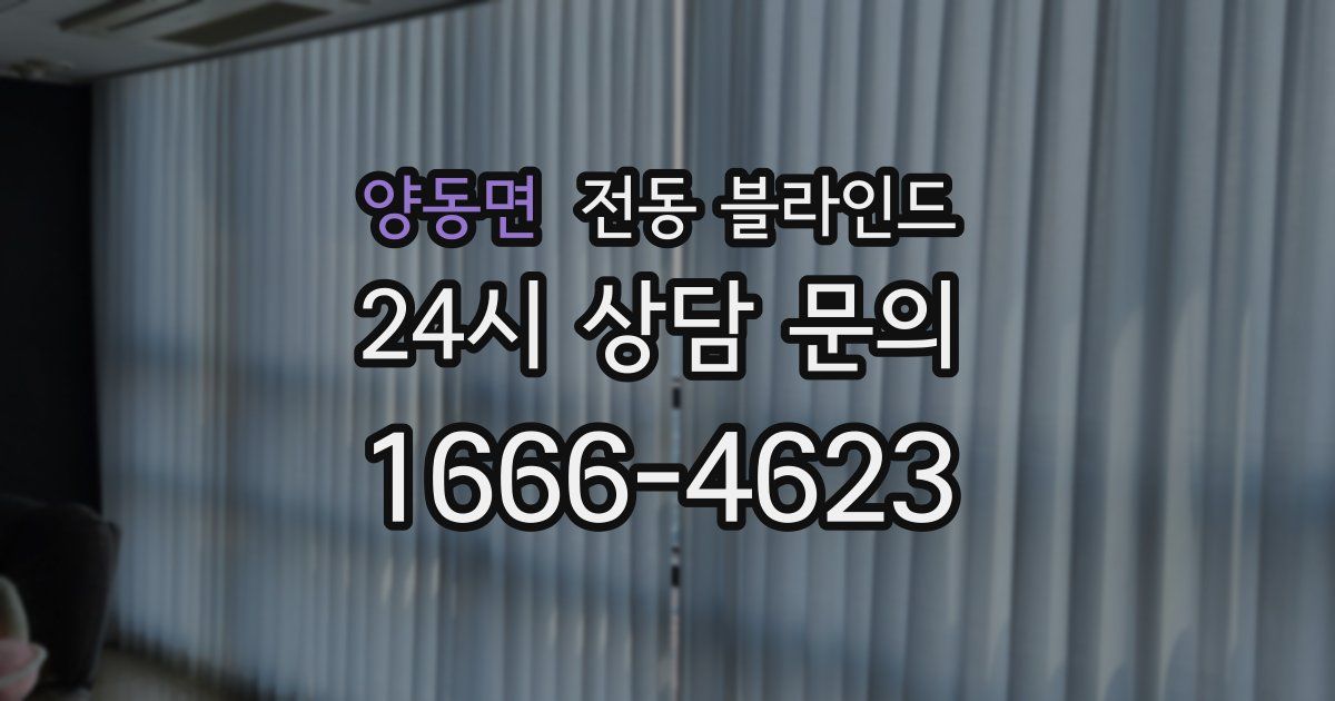 양동면 전동 블라인드