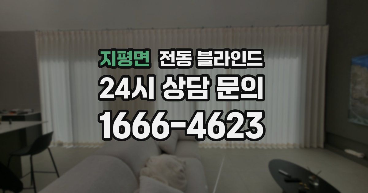 지평면 전동 블라인드
