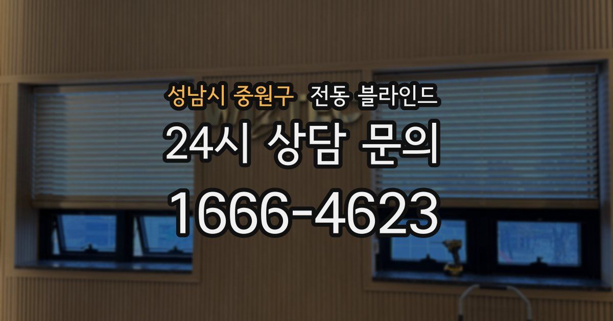 성남시 중원구 전동 블라인드