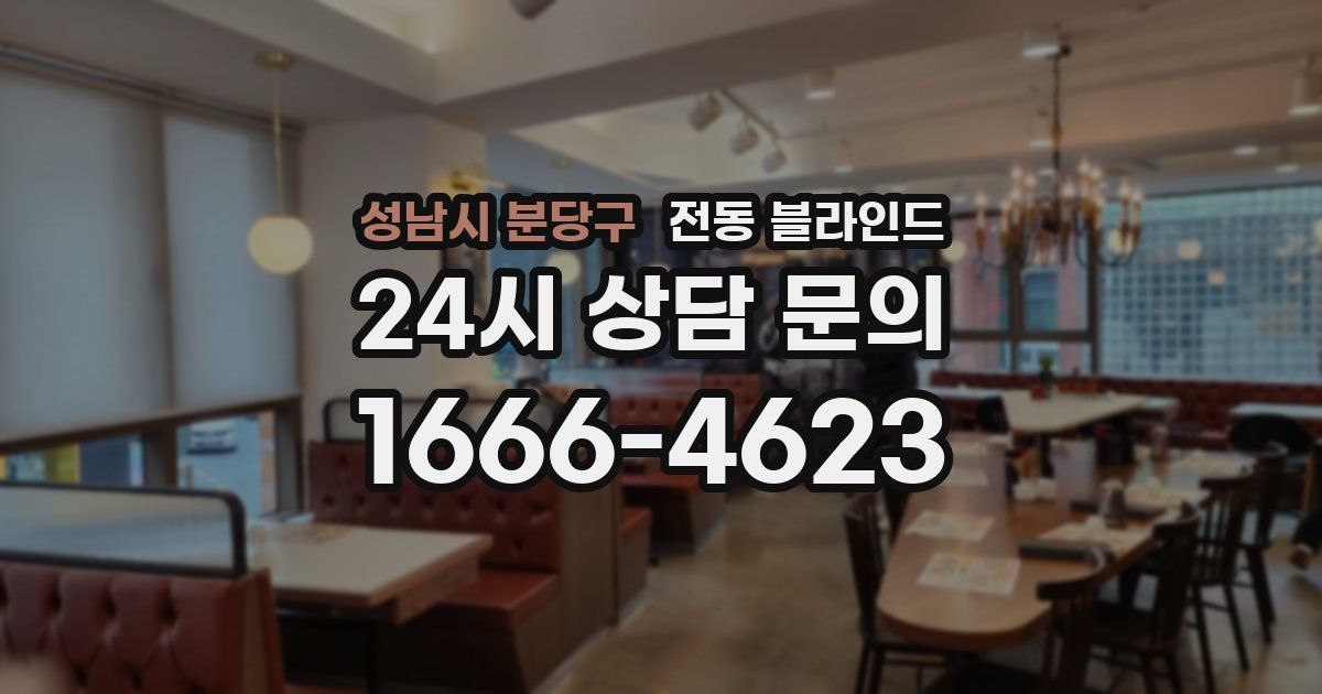 성남시 분당구 전동 블라인드