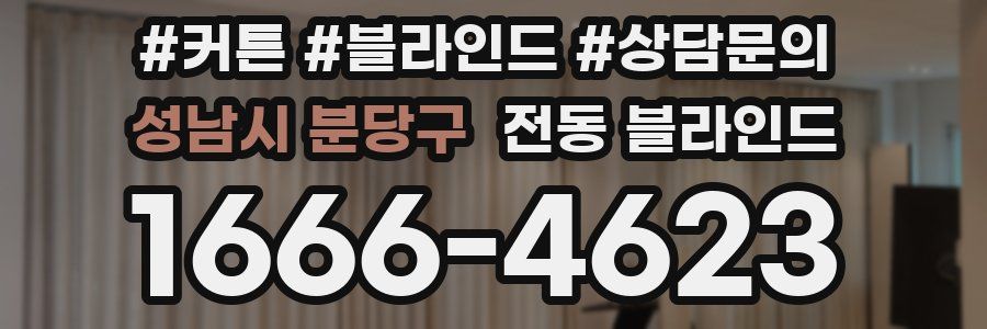 성남시 분당구 전동 블라인드