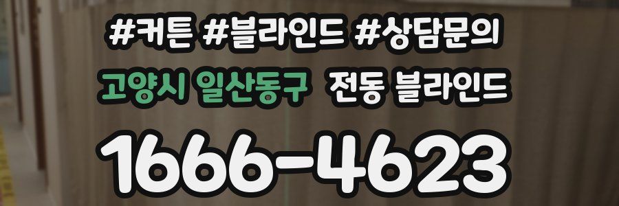 고양시 일산동구 전동 블라인드