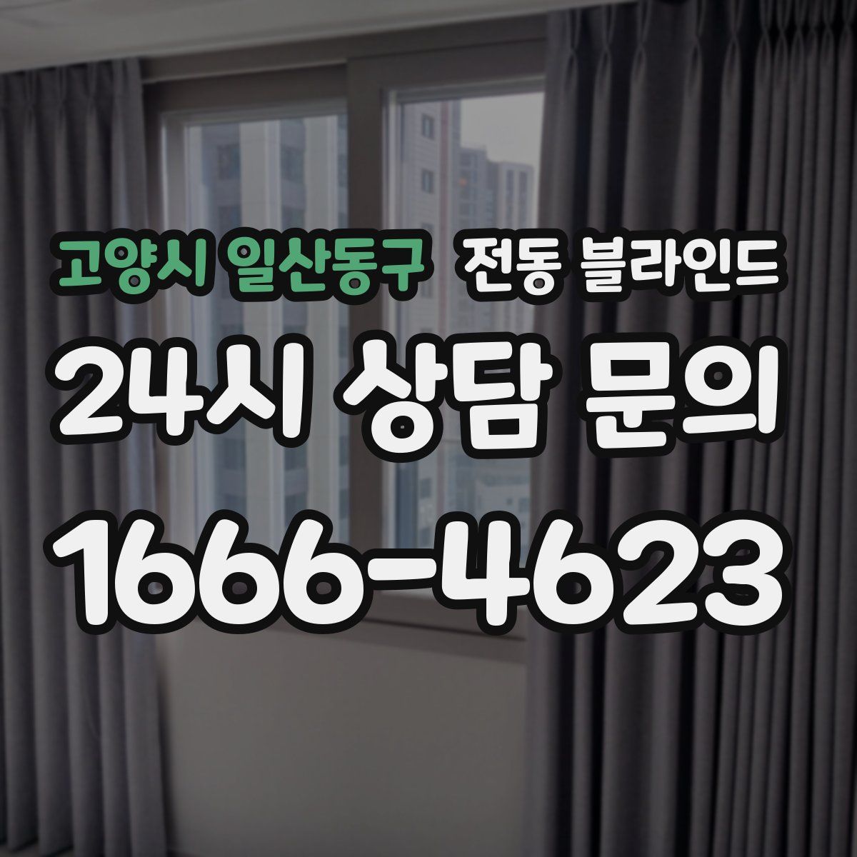 고양시 일산동구 전동 블라인드