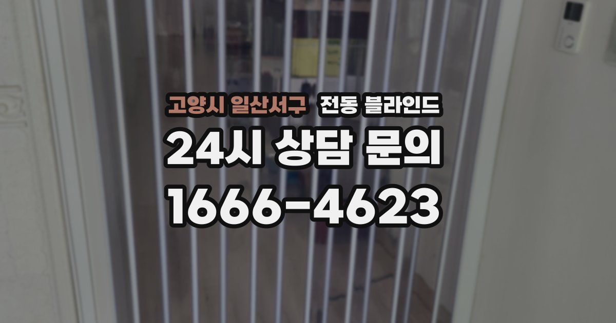 고양시 일산서구 전동 블라인드