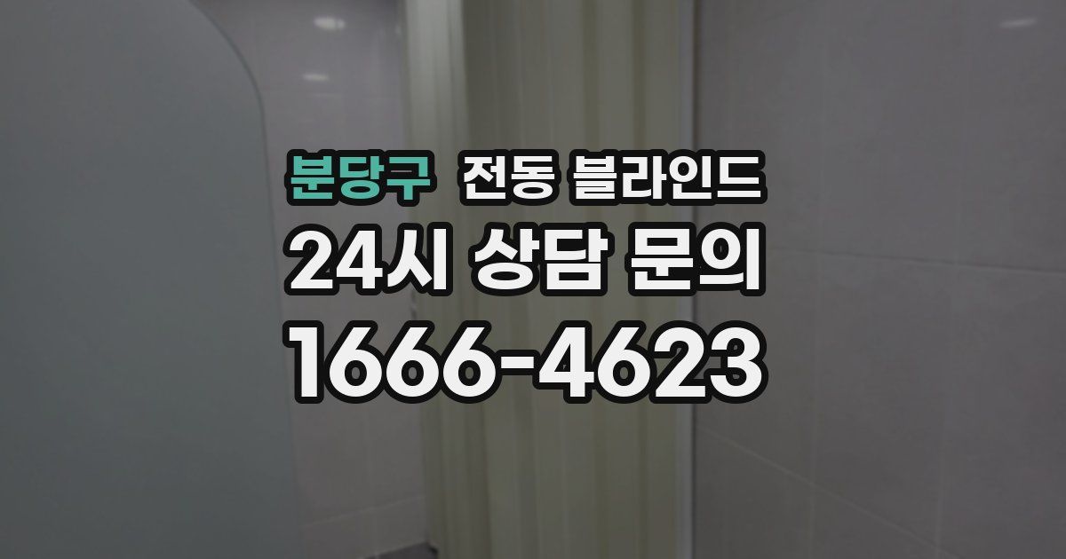 분당구 전동 블라인드
