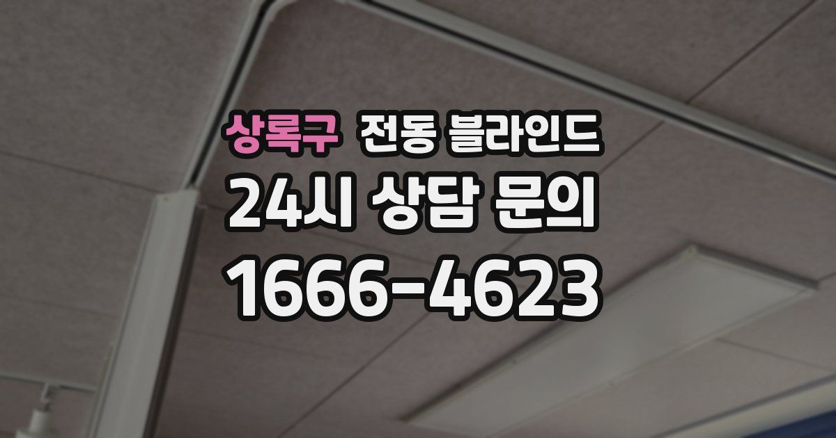 상록구 전동 블라인드