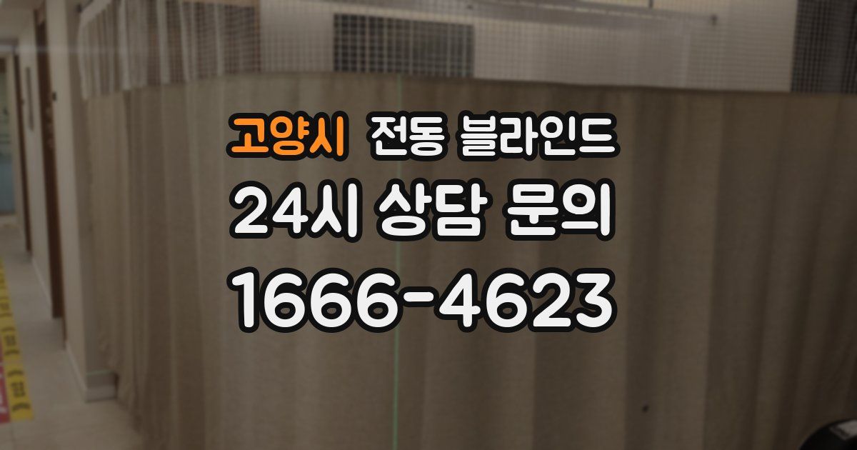 고양시 전동 블라인드