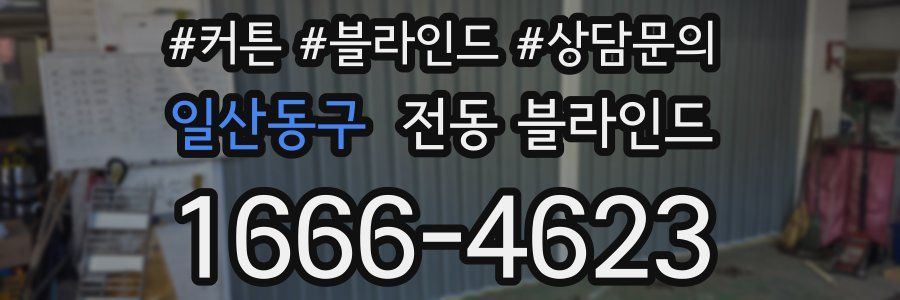 일산동구 전동 블라인드