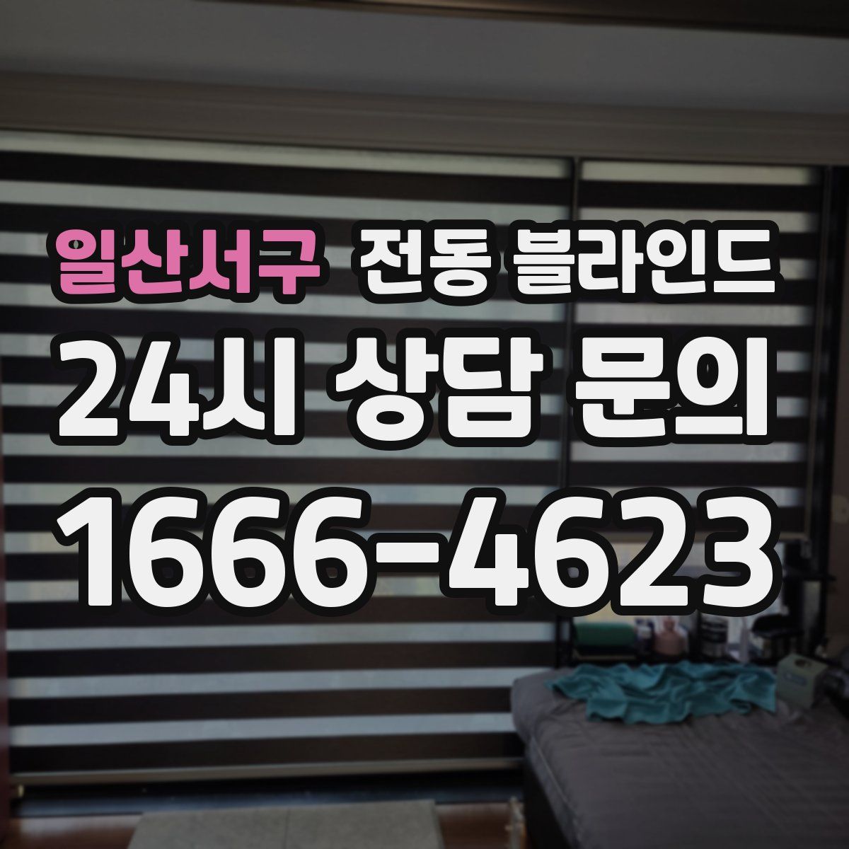 일산서구 전동 블라인드