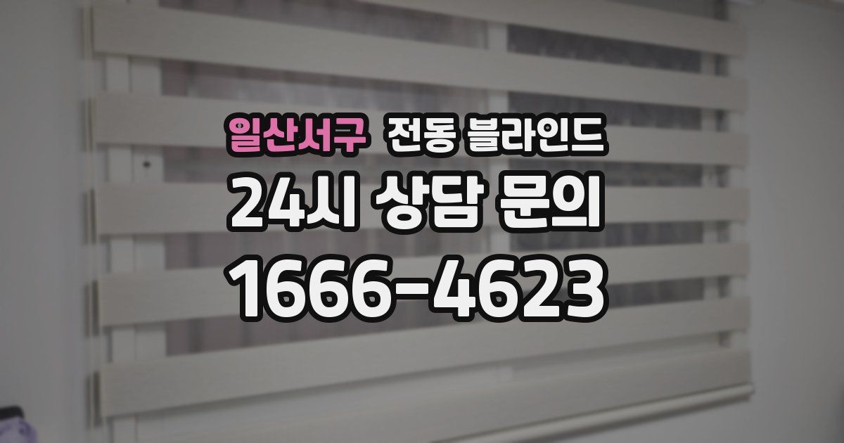 일산서구 전동 블라인드