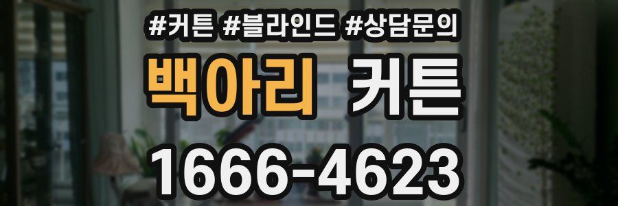 백아리 커튼
