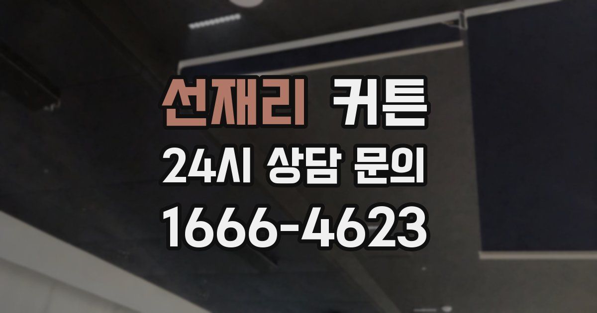 선재리 커튼