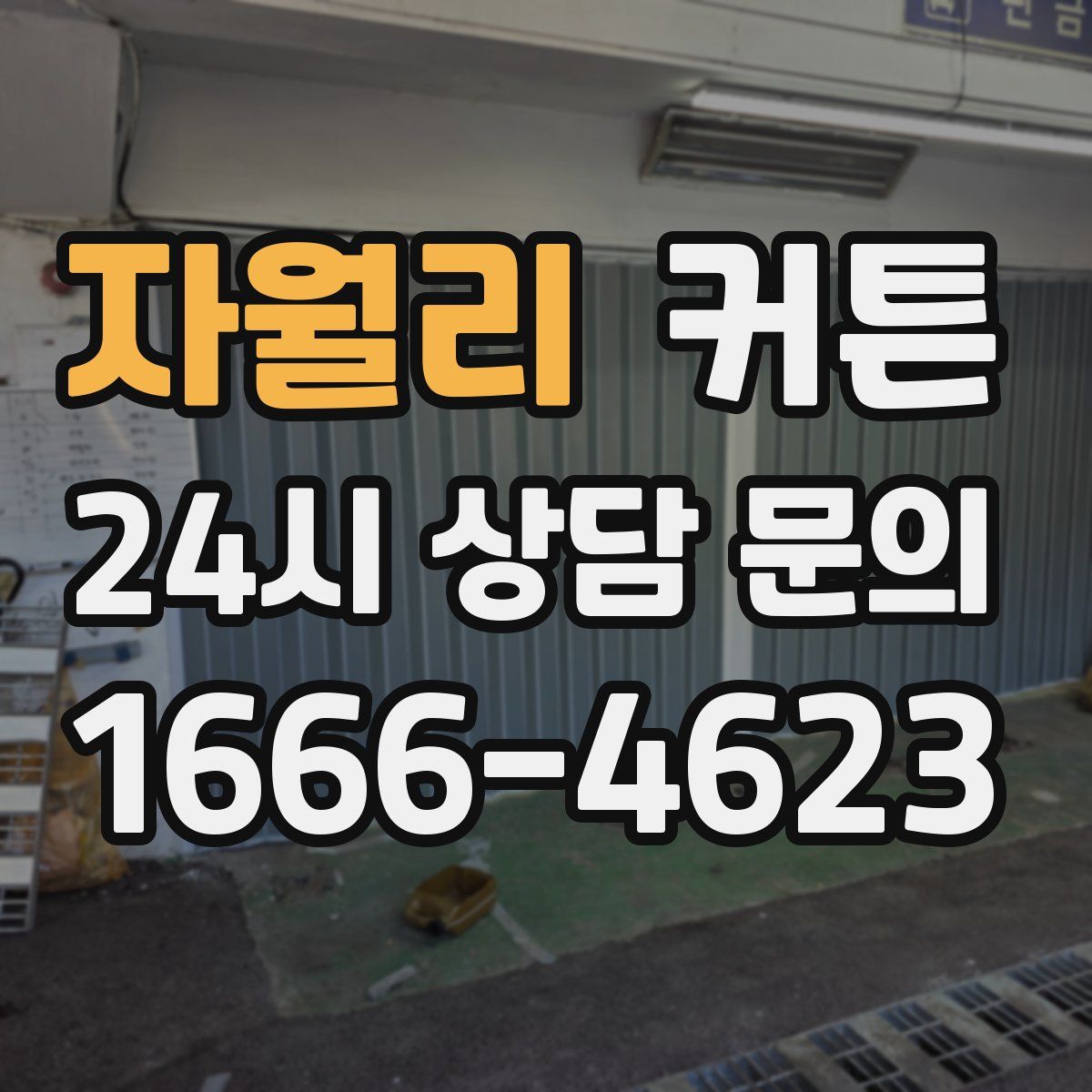 자월리 커튼