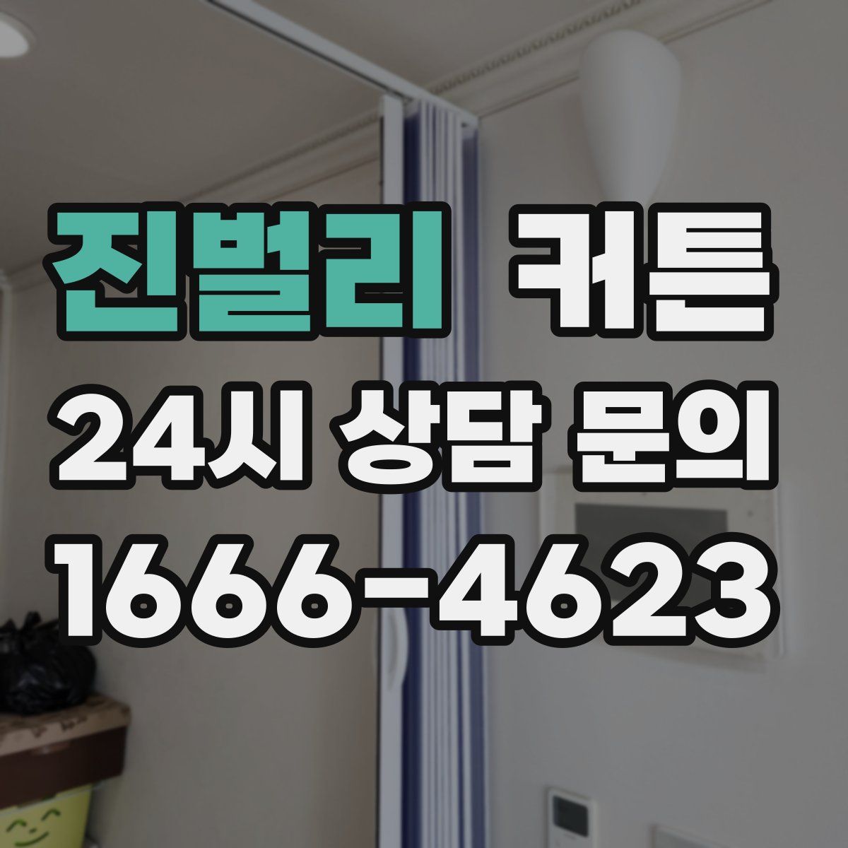진벌리 커튼