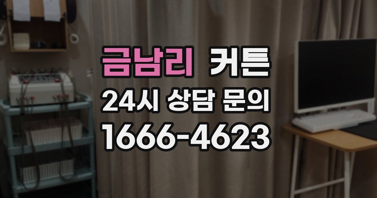 금남리 커튼