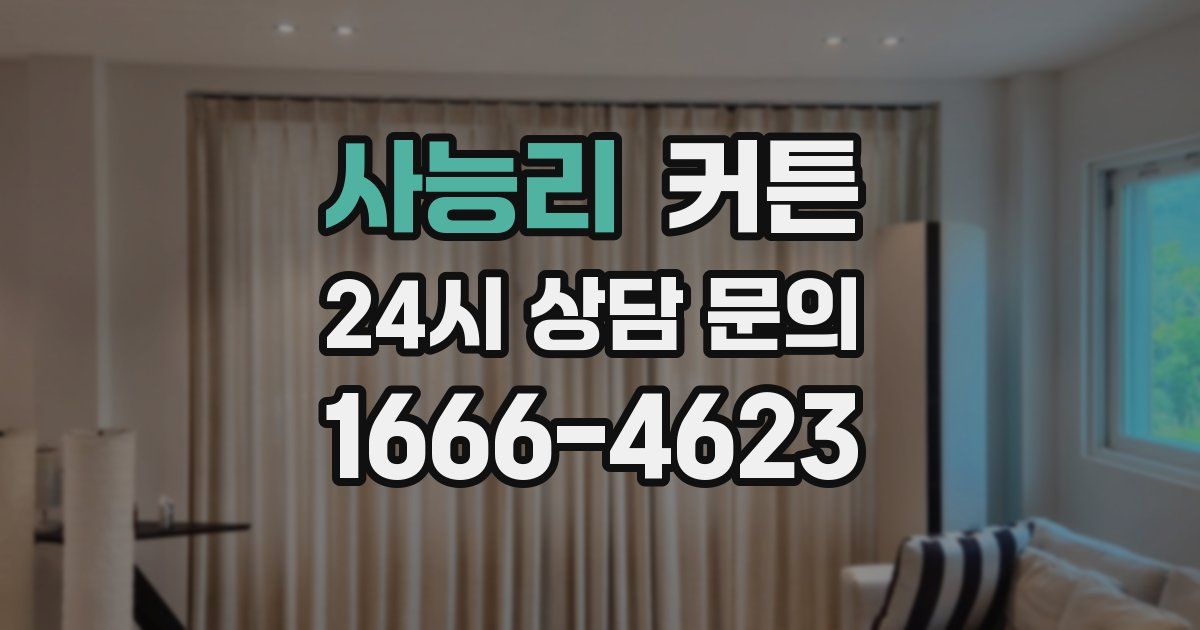 사능리 커튼