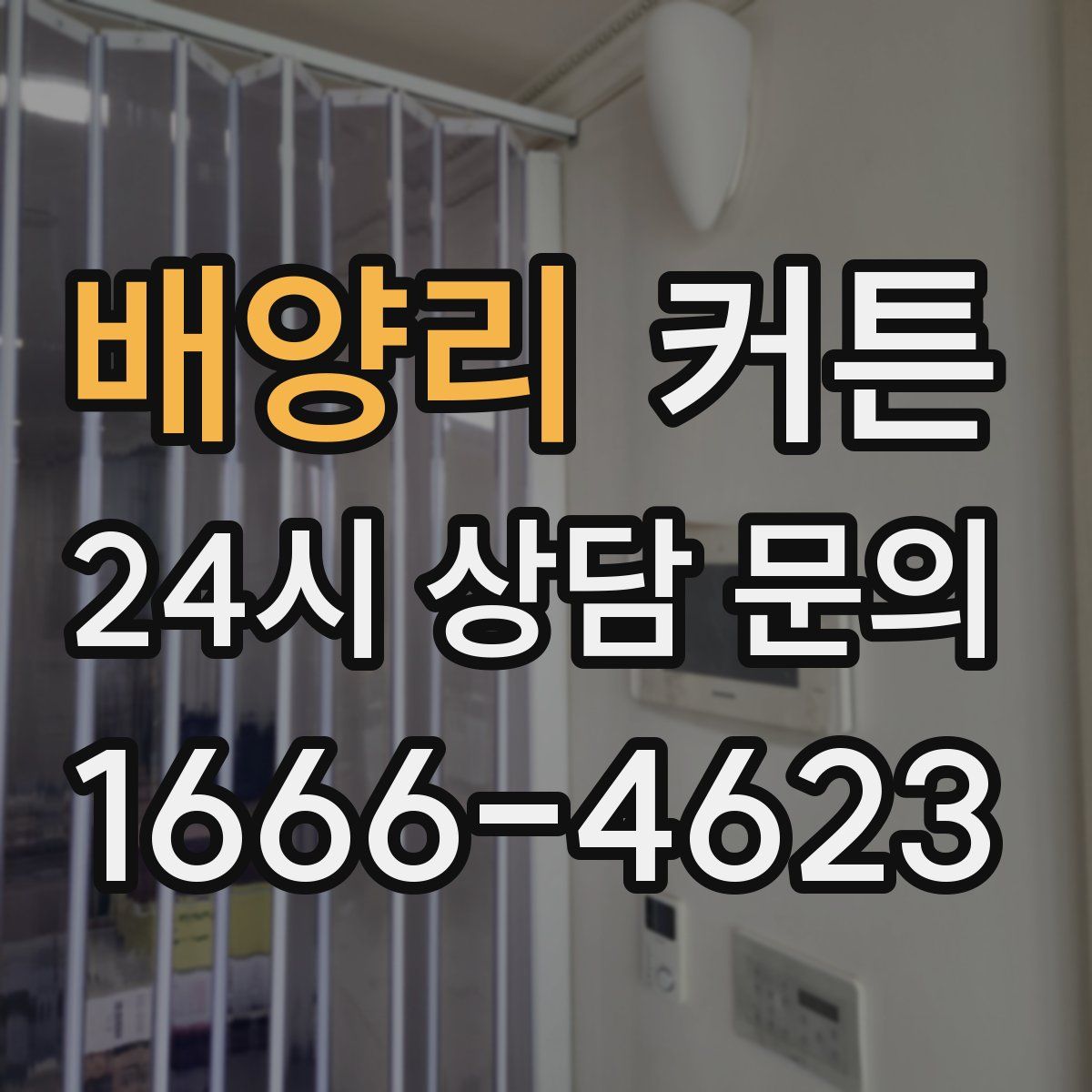 배양리 커튼