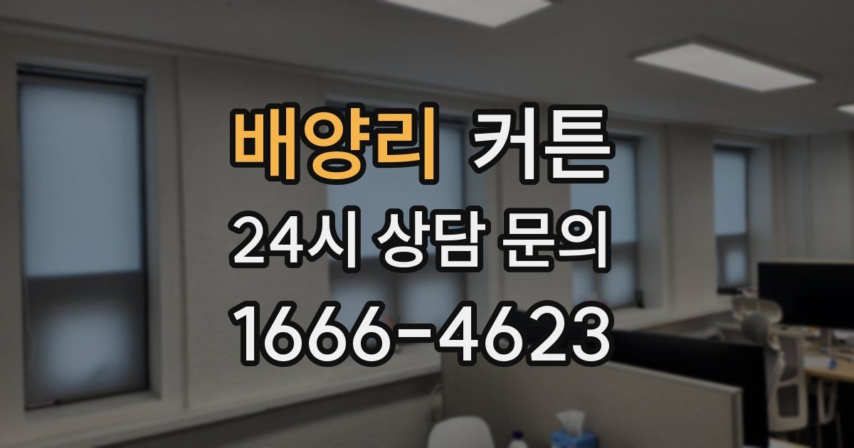 배양리 커튼