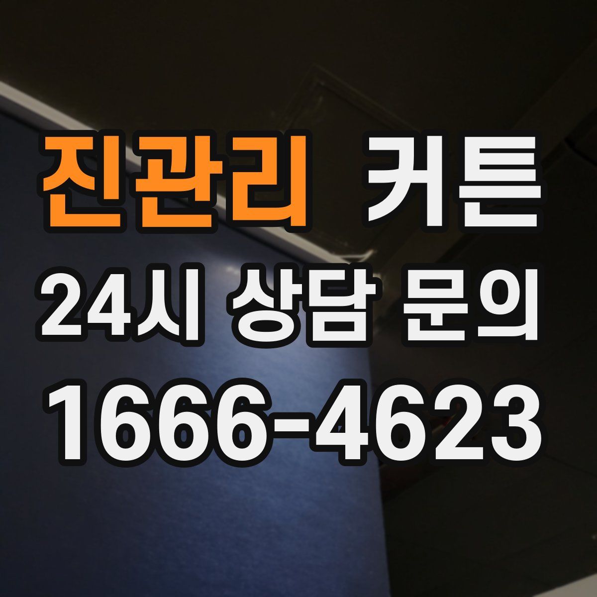 진관리 커튼