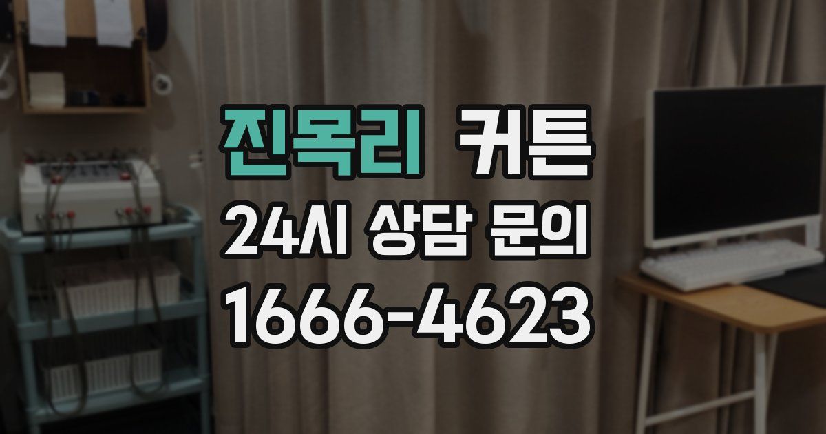 진목리 커튼
