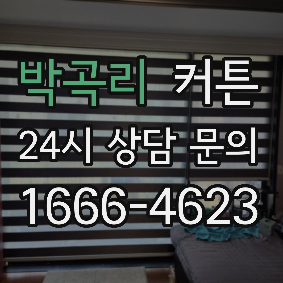 박곡리 커튼
