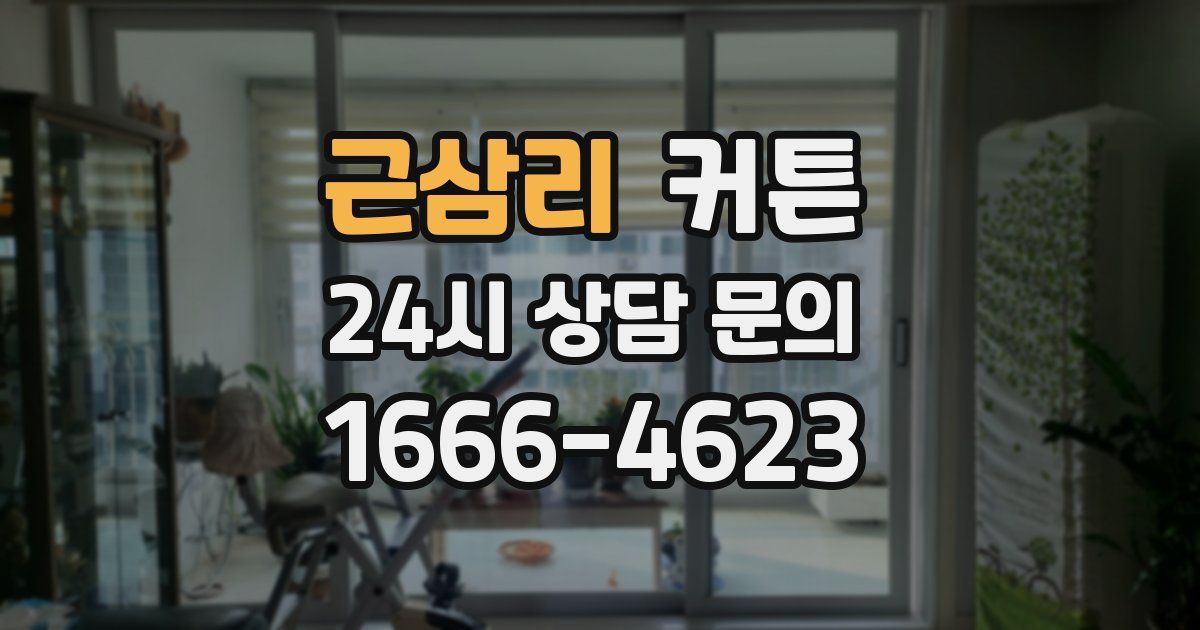 근삼리 커튼