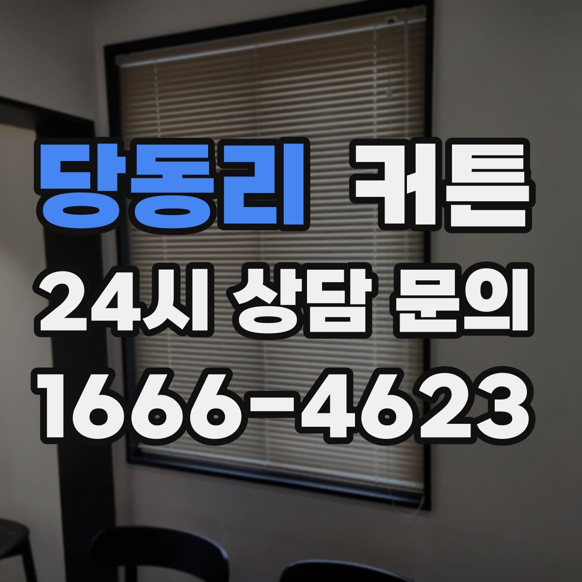 당동리 커튼