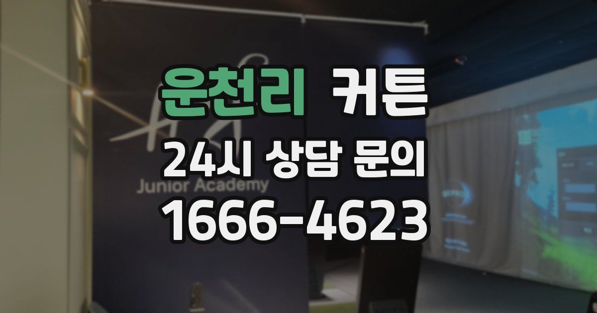 운천리 커튼