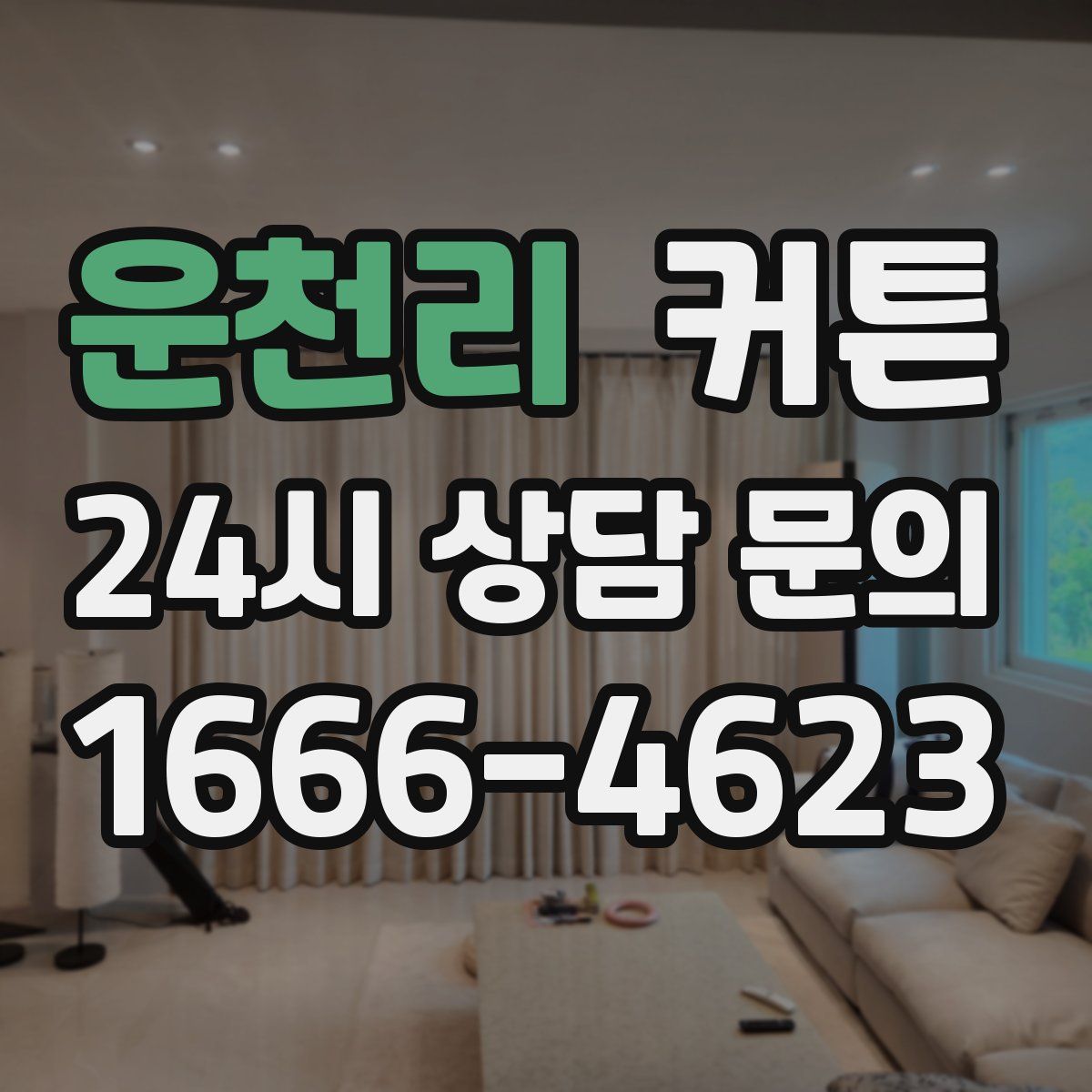 운천리 커튼