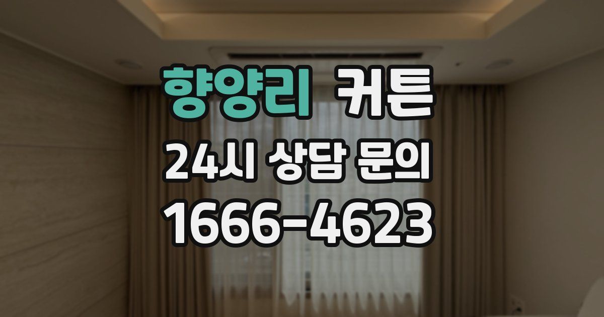 향양리 커튼