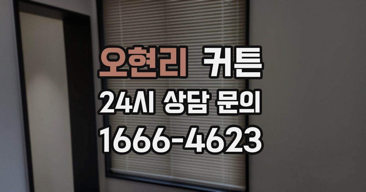 오현리 커튼