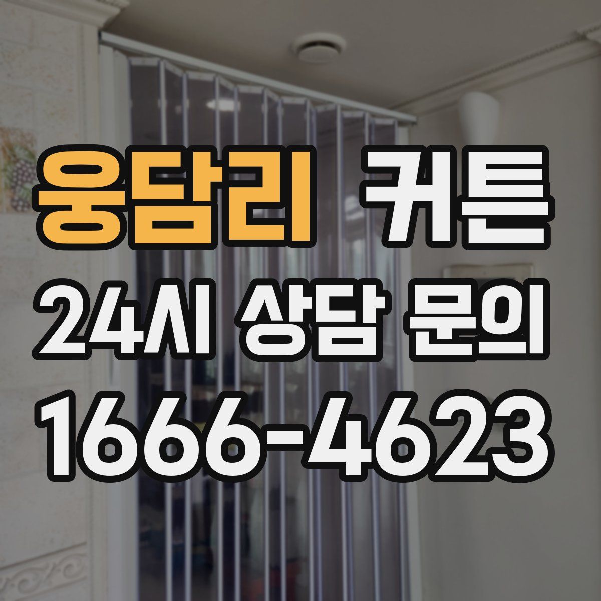 웅담리 커튼