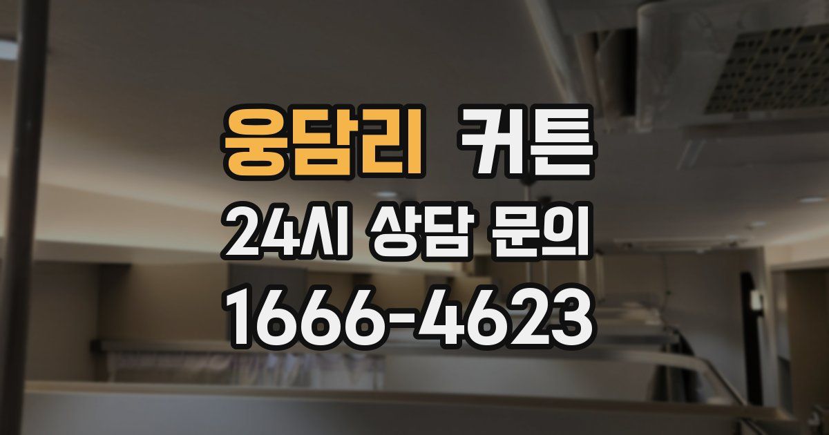 웅담리 커튼