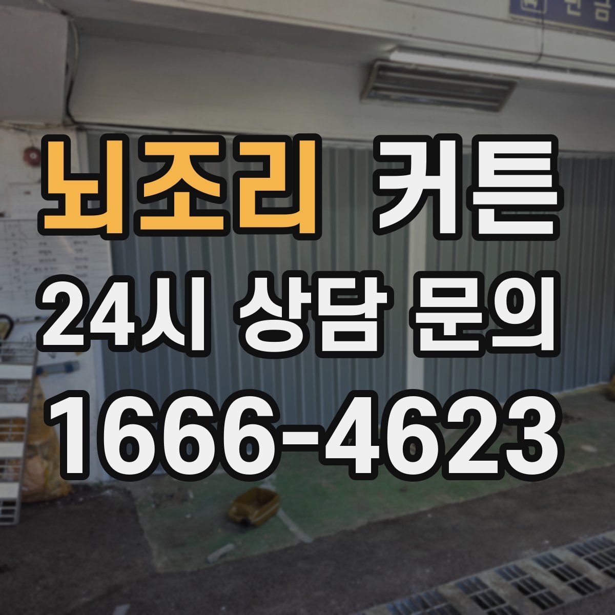 뇌조리 커튼