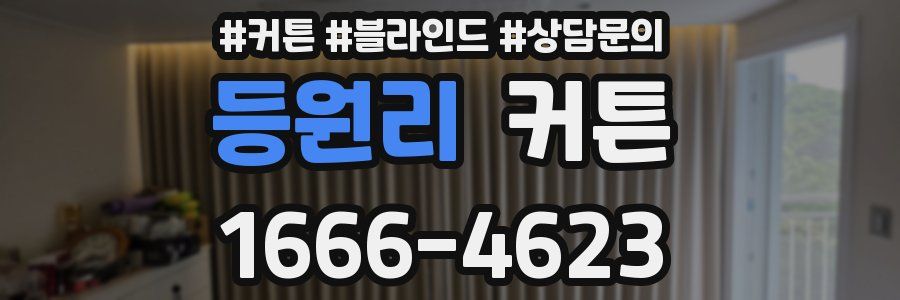 등원리 커튼